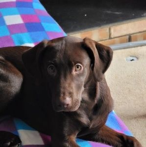 Meet your Posher, Jaydon